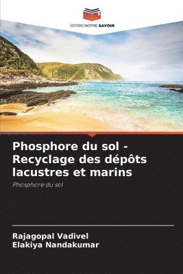 bokomslag Phosphore du sol - Recyclage des dpts lacustres et marins