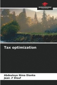 bokomslag Tax optimization