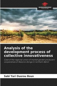 bokomslag Analysis of the development process of collective innovativeness