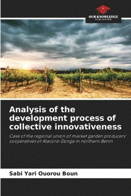 Analysis of the development process of collective innovativeness 1