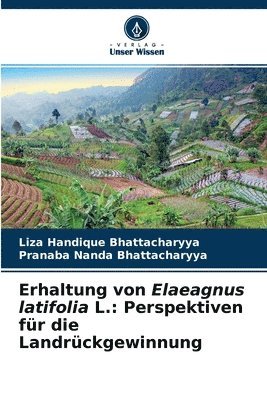 Erhaltung von Elaeagnus latifolia L. 1