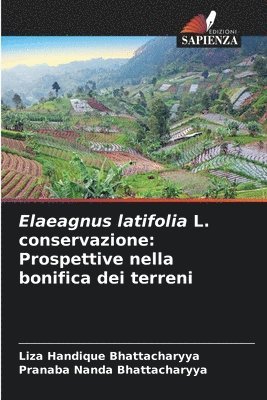 Elaeagnus latifolia L. conservazione 1