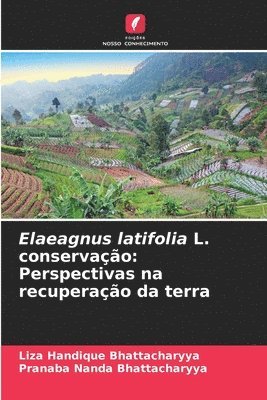Elaeagnus latifolia L. conservao 1