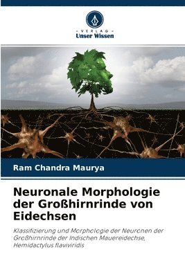bokomslag Neuronale Morphologie der Grohirnrinde von Eidechsen