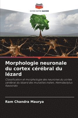 Morphologie neuronale du cortex crbral du lzard 1
