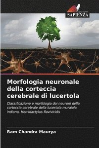 bokomslag Morfologia neuronale della corteccia cerebrale di lucertola