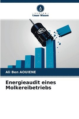 bokomslag Energieaudit eines Molkereibetriebs