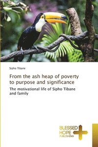 bokomslag From the ash heap of poverty to purpose and significance