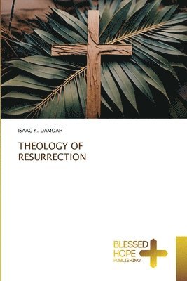 bokomslag Theology of Resurrection