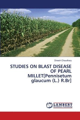 bokomslag STUDIES ON BLAST DISEASE OF PEARL MILLET[Pennisetum glaucum (L.) R.Br]