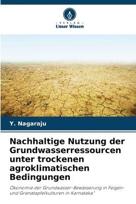 bokomslag Nachhaltige Nutzung der Grundwasserressourcen unter trockenen agroklimatischen Bedingungen