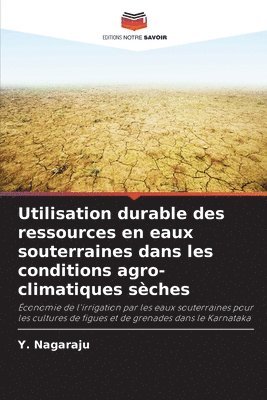 bokomslag Utilisation durable des ressources en eaux souterraines dans les conditions agro-climatiques sches