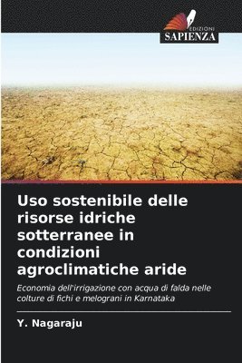 bokomslag Uso sostenibile delle risorse idriche sotterranee in condizioni agroclimatiche aride