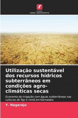 bokomslag Utilizao sustentvel dos recursos hdricos subterrneos em condies agro-climticas secas