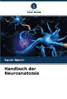 bokomslag Handbuch der Neuroanatomie