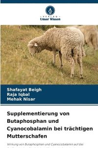 bokomslag Supplementierung von Butaphosphan und Cyanocobalamin bei trchtigen Mutterschafen