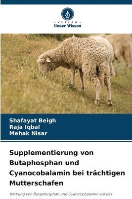 bokomslag Supplementierung von Butaphosphan und Cyanocobalamin bei trchtigen Mutterschafen