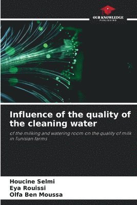 bokomslag Influence of the quality of the cleaning water