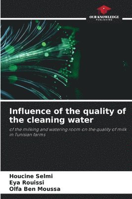Influence of the quality of the cleaning water 1