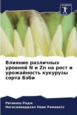 &#1042;&#1083;&#1080;&#1103;&#1085;&#1080;&#1077; &#1088;&#1072;&#1079;&#1083;&#1080;&#1095;&#1085;&#1099;&#1093; &#1091;&#1088;&#1086;&#1074;&#1085;&#1077;&#1081; N &#1080; Zn &#1085;&#1072; 1