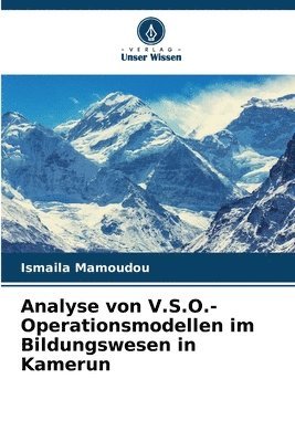 bokomslag Analyse von V.S.O.-Operationsmodellen im Bildungswesen in Kamerun