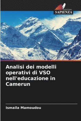 Analisi dei modelli operativi di VSO nell'educazione in Camerun 1