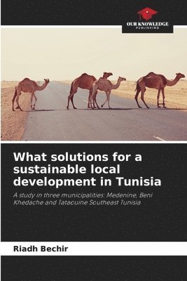 What solutions for a sustainable local development in Tunisia 1