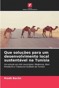 bokomslag Que solues para um desenvolvimento local sustentvel na Tunsia