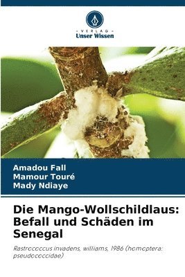 Die Mango-Wollschildlaus 1