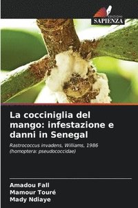 bokomslag La cocciniglia del mango