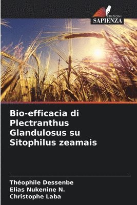 Bio-efficacia di Plectranthus Glandulosus su Sitophilus zeamais 1