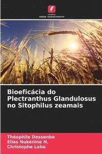 bokomslag Bioeficcia do Plectranthus Glandulosus no Sitophilus zeamais