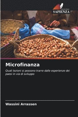 bokomslag Microfinanza