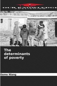 bokomslag The determinants of poverty