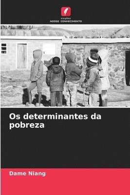 bokomslag Os determinantes da pobreza