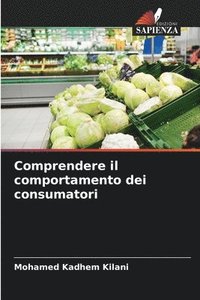 bokomslag Comprendere il comportamento dei consumatori