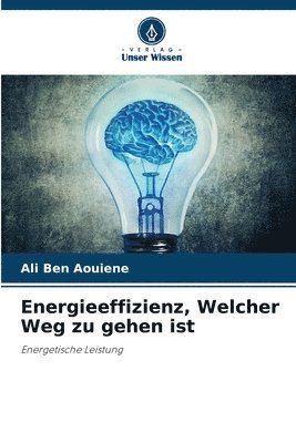 bokomslag Energieeffizienz, Welcher Weg zu gehen ist