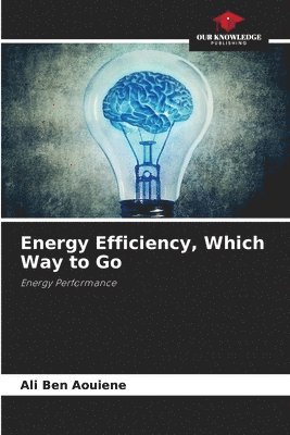 Energy Efficiency, Which Way to Go 1