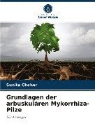 bokomslag Grundlagen der arbuskulären Mykorrhiza-Pilze