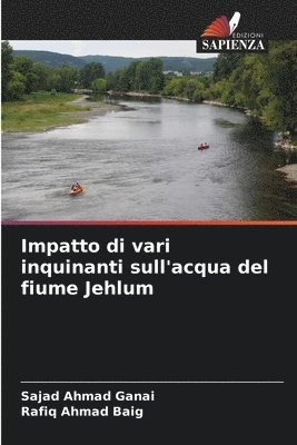 Impatto di vari inquinanti sull'acqua del fiume Jehlum 1