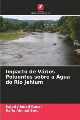 bokomslag Impacto de Vrios Poluentes sobre a gua do Rio Jehlum