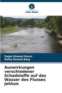 bokomslag Auswirkungen verschiedener Schadstoffe auf das Wasser des Flusses Jehlum