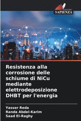Resistenza alla corrosione delle schiume di NiCu mediante elettrodeposizione DHBT per l'energia 1