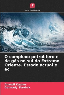 bokomslag O complexo petrolfero e de gs no sul do Extremo Oriente. Estado actual e ec