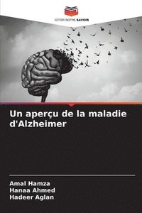 bokomslag Un aperu de la maladie d'Alzheimer