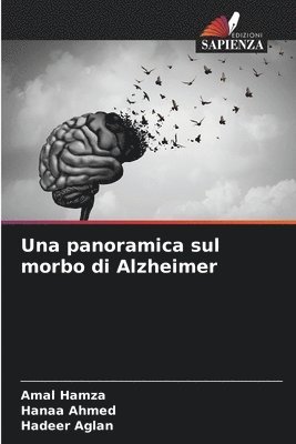 Una panoramica sul morbo di Alzheimer 1