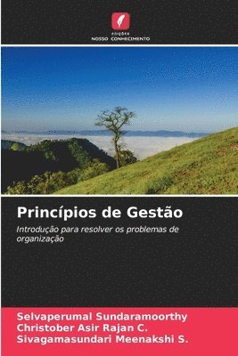 Princpios de Gesto 1