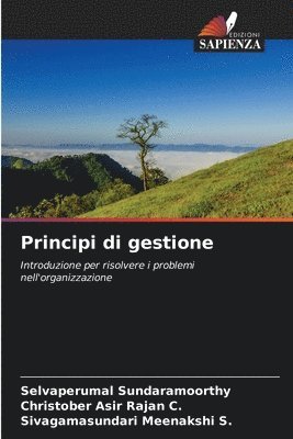 bokomslag Principi di gestione