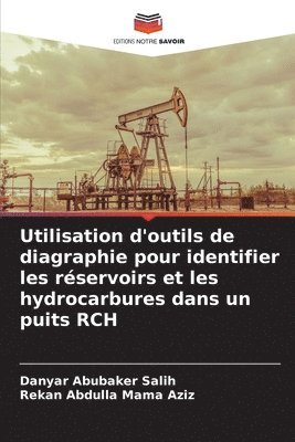 Utilisation d'outils de diagraphie pour identifier les rservoirs et les hydrocarbures dans un puits RCH 1