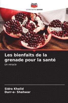 Les bienfaits de la grenade pour la sant 1